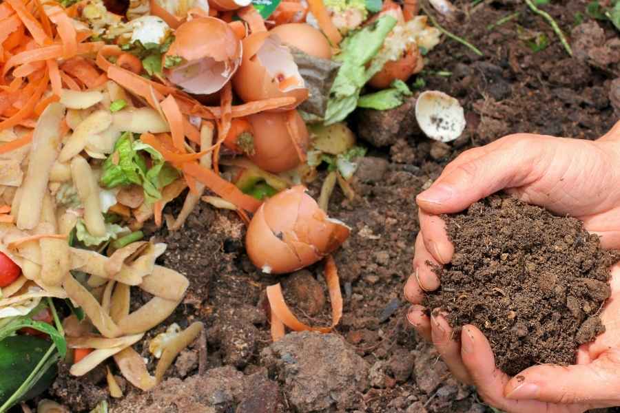 Des mains tenant du terreau riche à côté de déchets de cuisine pour un compost maison performant.